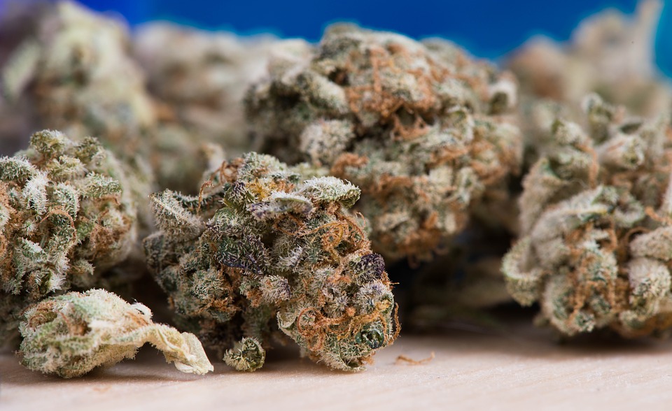 health benefits of marijuana